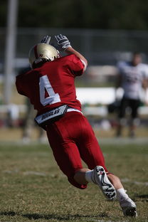 开云体育平台APP-澳大利亚网球队血洗英国网球队，兹维列夫打破历史纪录