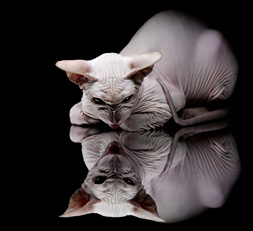 约基奇式统治，当活塞用魔法打败肌肉，山西的钢铁防线如何融化？